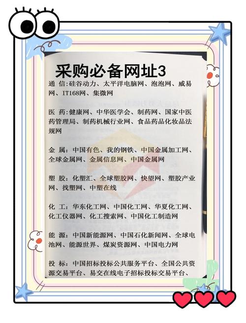 在郑州电子商务学院，如何直接在哪些顶级网站上尽情享受购物狂欢？