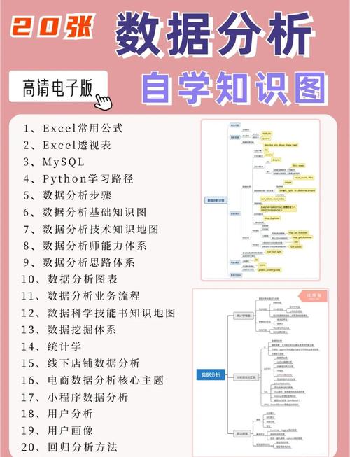 学习Debian MongoDB大数据分析后我能掌握哪些具体的大数据分析实用技能？