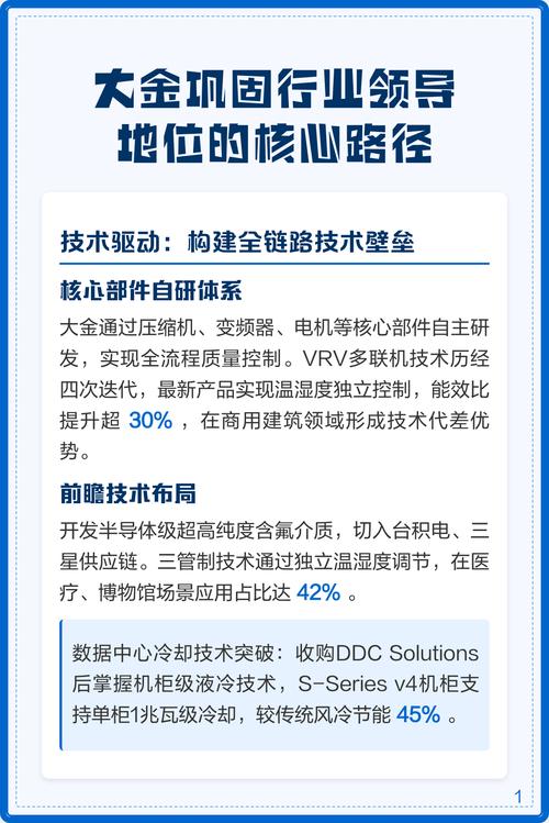 如何持续巩固和提升在行业中的领导地位？
