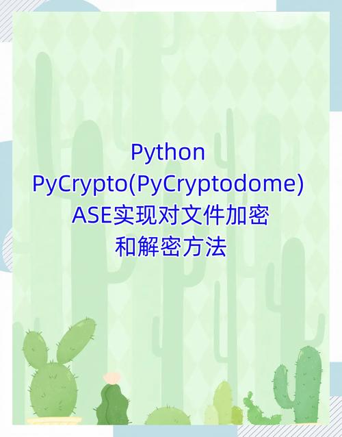如何用Python实现几种常用的加密算法技巧？