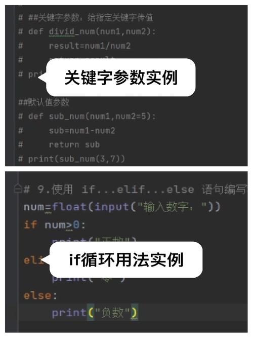 如何通过30天Python课程掌握循环与函数的高级应用？