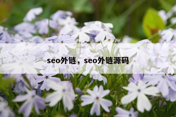 为什么特定网站外链未被搜索引擎索引，影响SEO效果？