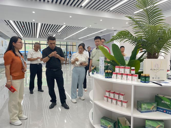 梅州网络科技有限公司，如何成为数字时代梅州网站建设的桥梁与纽带专家？