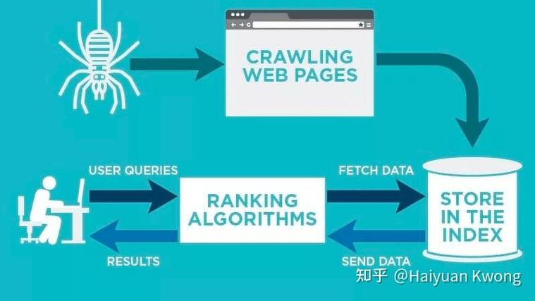 百度蜘蛛爬取频率和收录情况具体是怎样的？