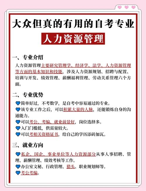 河南启博人力资源有限公司在安阳网站建设方面有哪些专业优势？