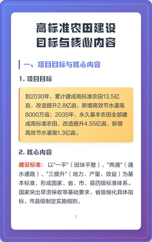 如何准确区分项目目标与主要内容的具体细节？