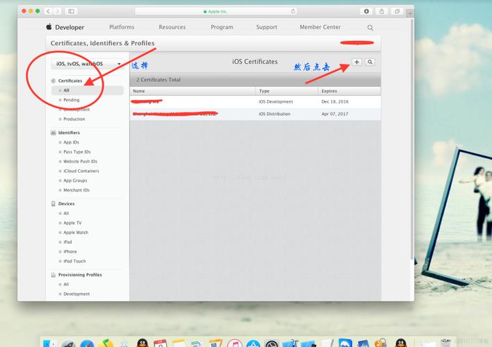 如何高效使用Xcode进行iOS应用开发？