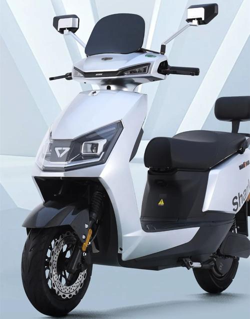 新蕾黑鲨系列T5电动车质量如何？具体评测细节有哪些？