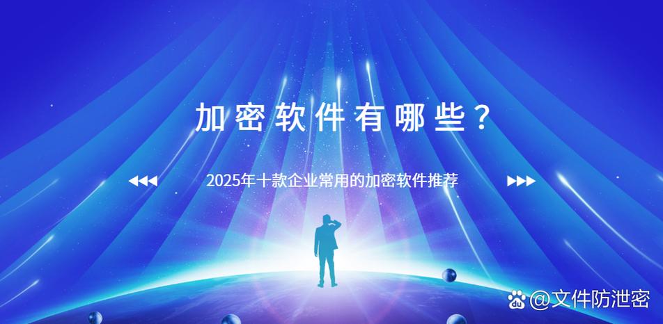 Tigervnc加密传输是否足够保障远程桌面在复杂网络环境下的安全性？