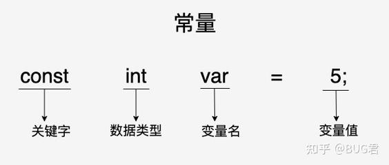 常量具体解释是什么？