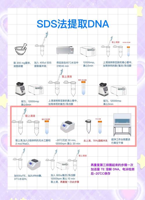 SDS检测方法有哪些具体步骤？