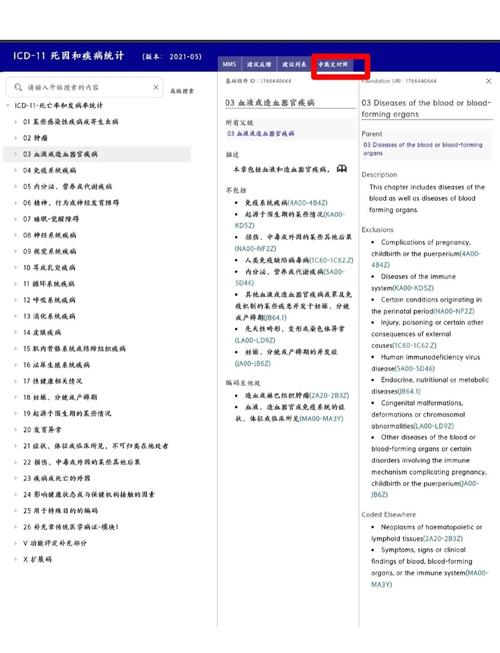 C 11是什么意思？能否详细解释一下？