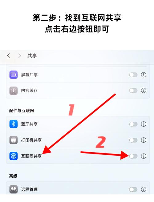 如何将苹果XR手机连接到互联网的具体网络接入步骤详解？