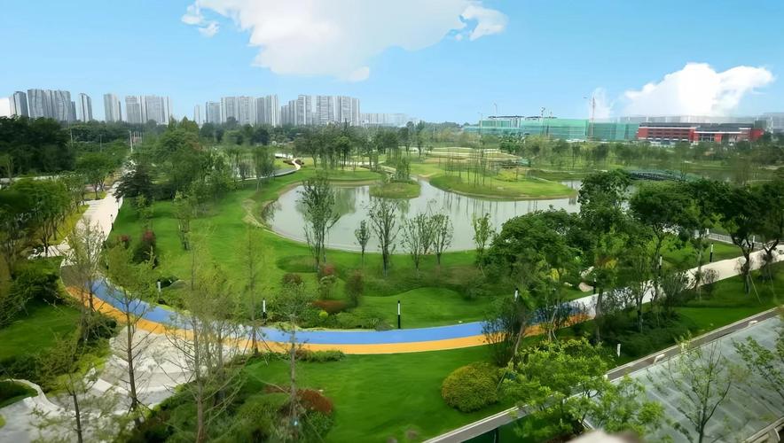 武侯区环境品质提升工程2020有哪些具体措施和成效？