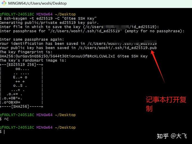 VS Code Git仓库初始化失败，是什么具体原因导致的？