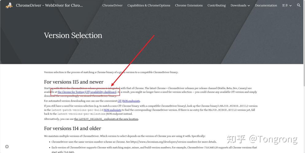 如何使用Python Selenium操控已启动的Chrome浏览器？