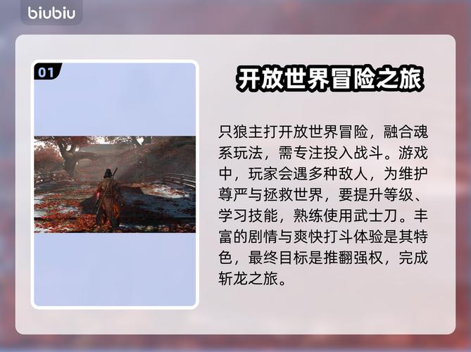 只狼真的有必要增加一个让新手也能轻松体验的简单模式吗？