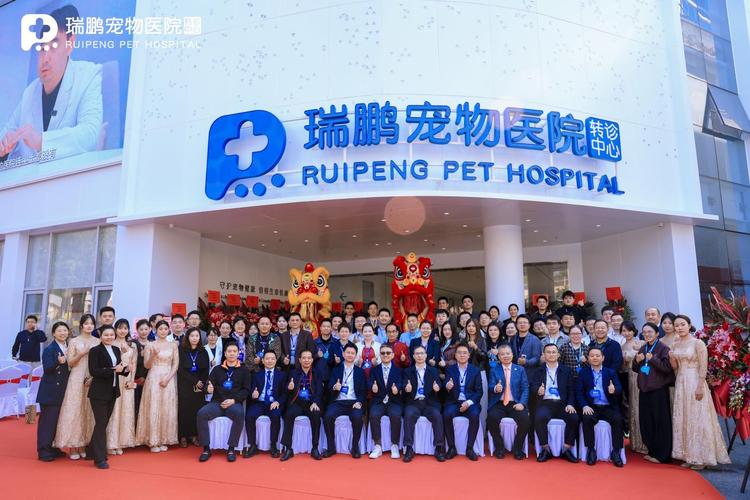 哪家宠物医院与深圳市品牌网站建设项目有合作？🐾