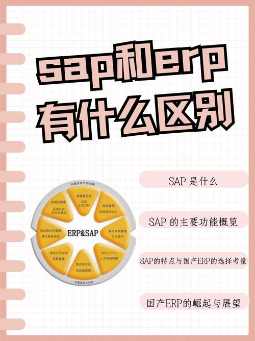 SAP与ERP实施项目在哪些方面存在根本性差异？
