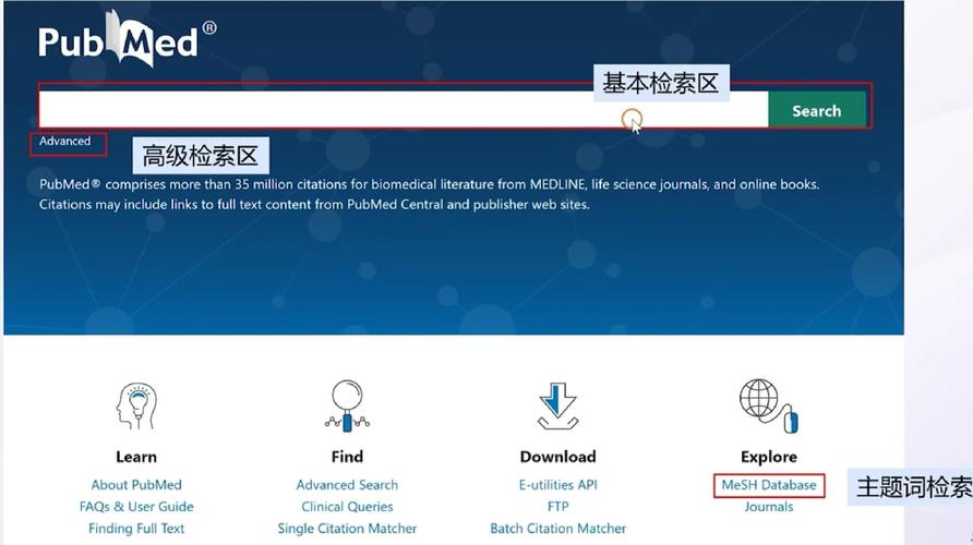 如何利用PHP和PDO实现数据库的多语言数据存储与检索？