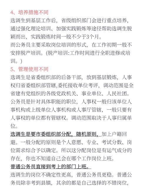选调生与项目人员最根本的区别是什么？
