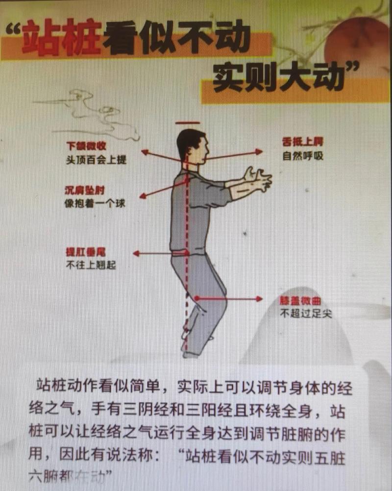金鸡独立站桩养生法如何为现代外贸网站带来营销启示与实战策略？