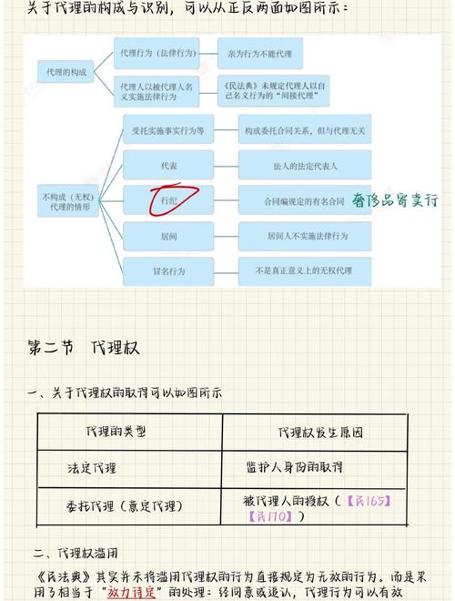 区域代理和项目代理在本质区别上，哪个更专注于特定区域或项目？