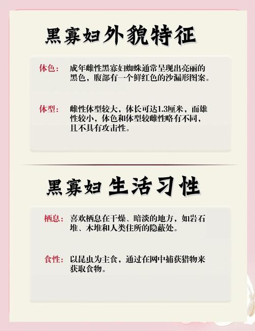 搜索引擎蜘蛛的IP段真的复杂多变，真假难辨吗？