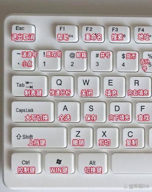 Word XP功能键使用大全里有哪些功能键？