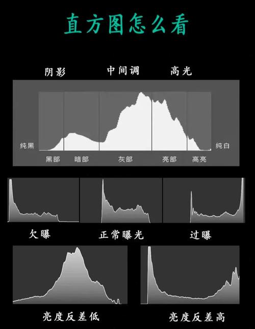 如何利用基于直方梯度图HDGG的人脸识别算法进行高效人脸识别研究？