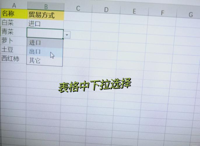 如何使用VB.NET为自定义控件构建属性值的下拉列表？