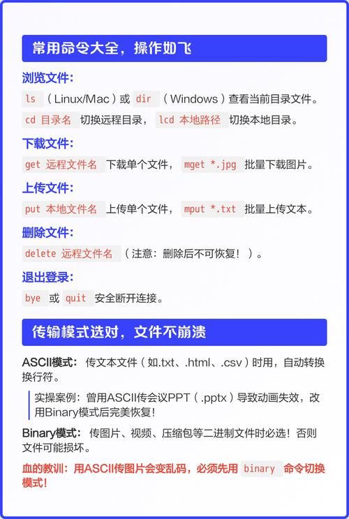 如何确保Linux FTP服务器稳定运行并有效避免数据丢失的长期维护策略是什么？
