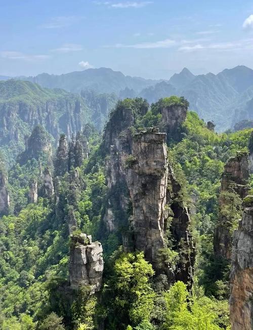 张家界SEO优化，晋源区价格优惠，哪家服务更专业？