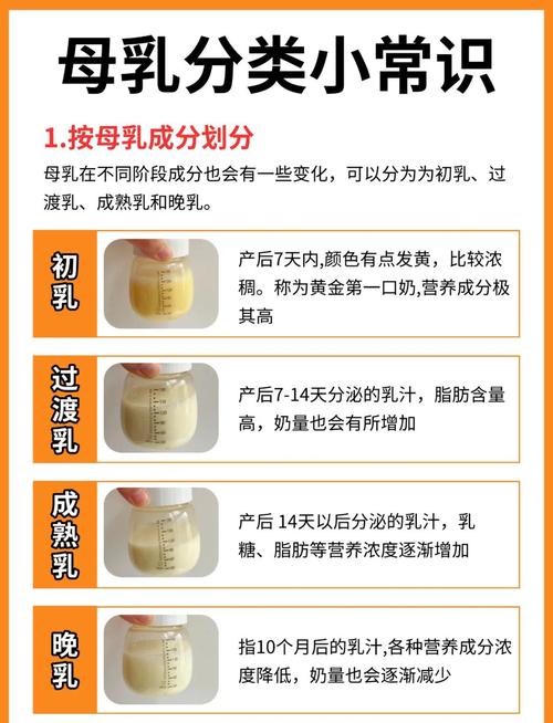 抖音小店母婴产品如何科学分类？