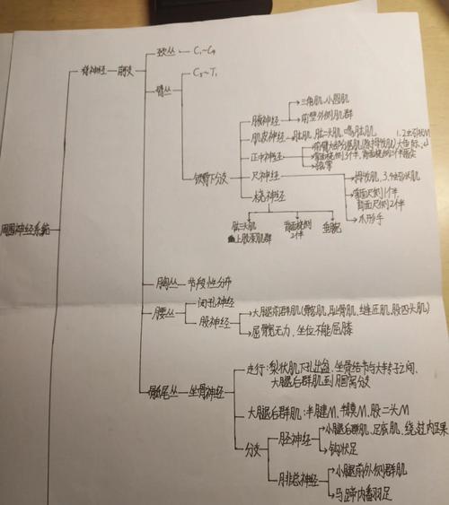 如何实现基于符号知识的自适应且可解释的神经记忆模型？
