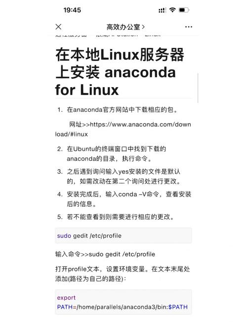 如何高效运用Python虚拟机进行编程开发？
