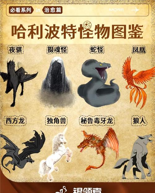 如何巧妙捕捉《霍格沃兹之遗》中的神器动物，掌握抓取奇兽的独特技巧？