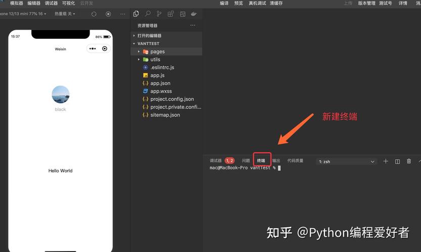 如何在小程序中使用Vant组件库？