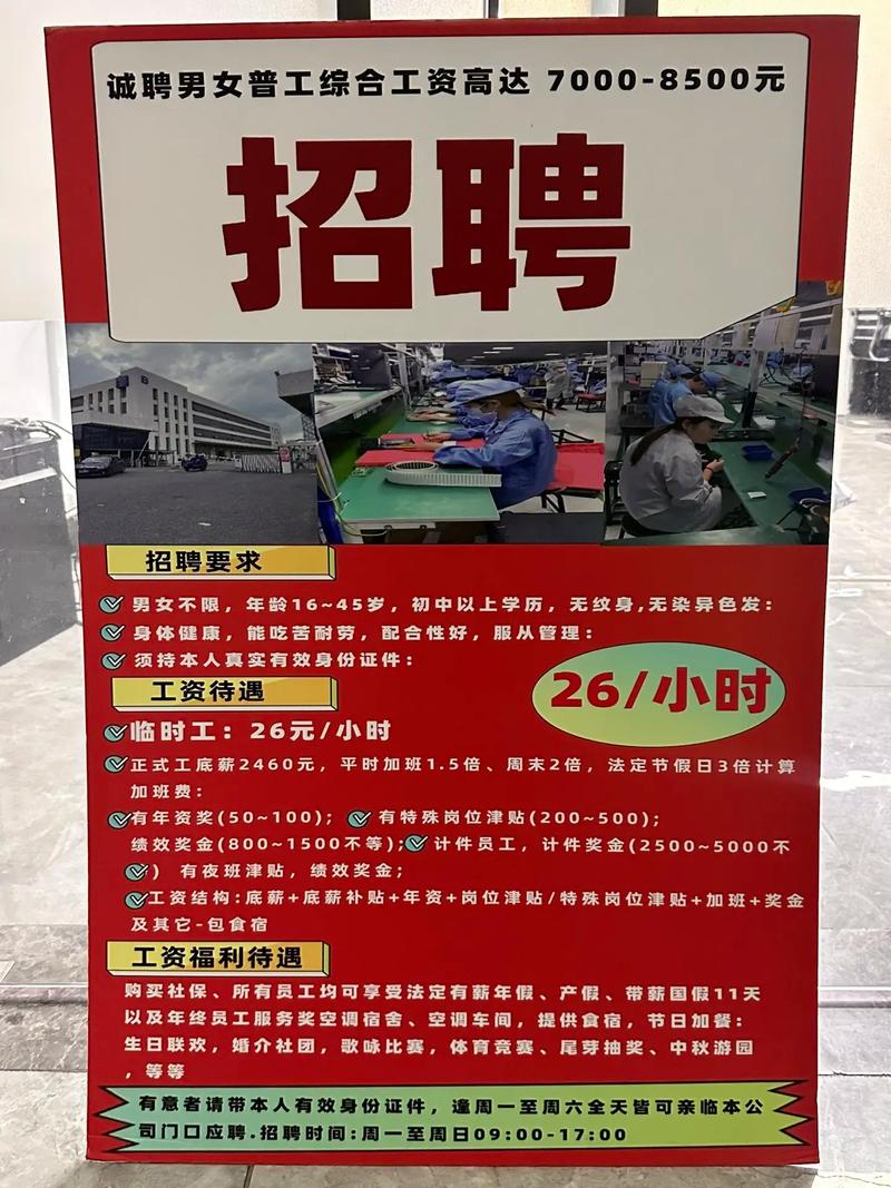 兴化网站建设师傅招聘火热，技术精英都在哪里找？