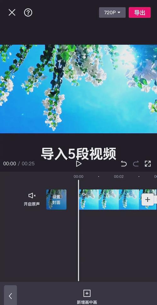 如何实现Vue页面切换项目中的长尾词转场动画效果？