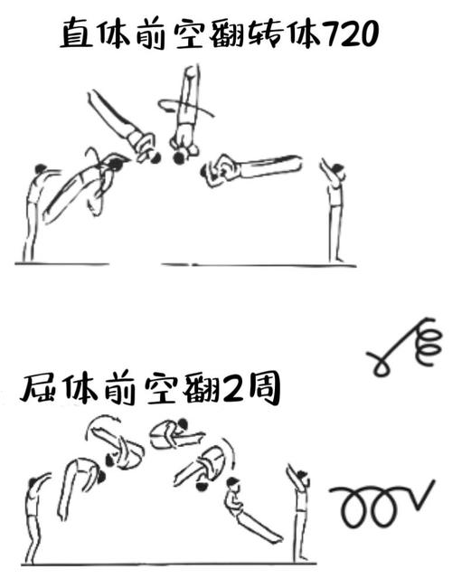 单杠和自由体操在运动形式和规则上有哪些根本的不同？