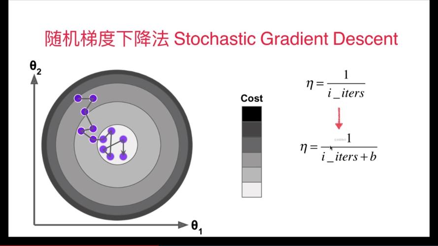 随机梯度下降算法在Python中是如何实现的？