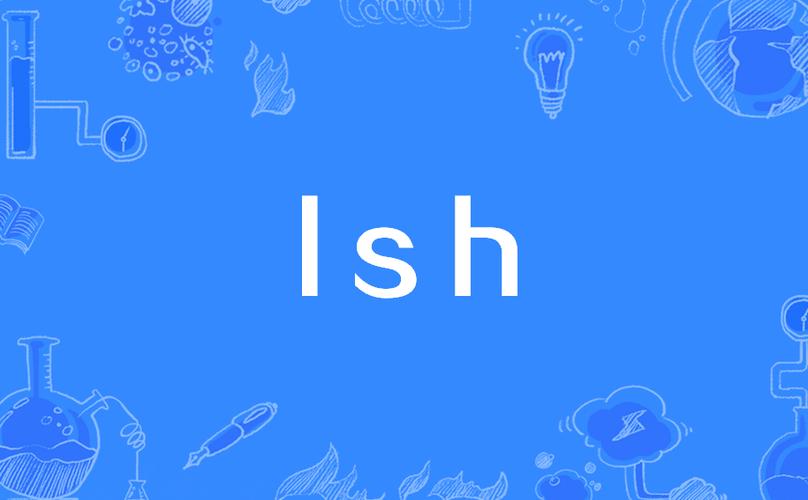 LSH是什么意思？