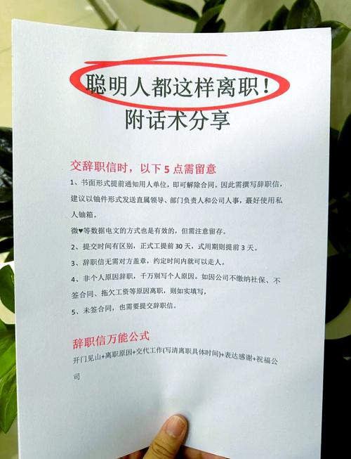 35岁加入创业公司4个月后离职，有哪些经验是你们希望早点知道的？