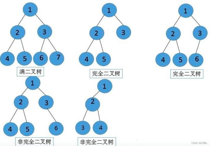 这棵二叉树的结构是怎样的？