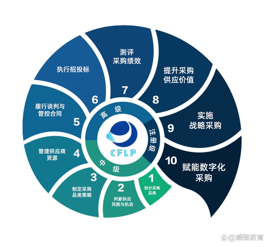 采购DNS服务器时如何精准控制成本避免浪费，实现高效投资？