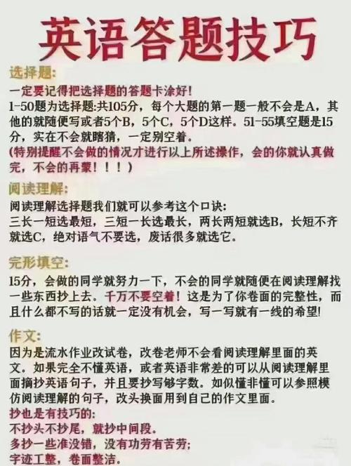 如何通过试题解析与技巧高效学习SEO？
