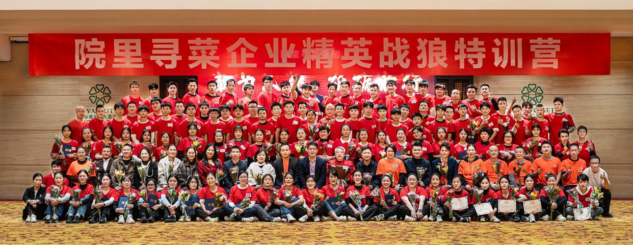 江门独立站团队：这支融合本地智慧与全球视野的电商攻坚力量，是哪支队伍？
