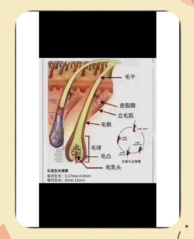 难道不是所有的生物都有毛发吗？