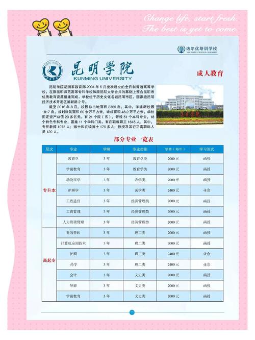 昆明有哪些学校在探索和实践网站建设专业？